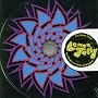 The Shouty Track, Pt. 2 [CD 2]