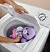 Fisher-Price Doodle Bear Violet