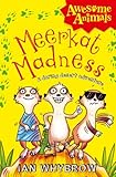 Meerkat madness