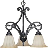 Progress Lighting P4200-84 3-Light Le Jardin Chandelier, Espresso