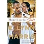 Blame It on the Sun (Harris, E Lynn)