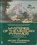 Mysteries of the Mexican Pyramids