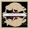 Image of album by Villagers