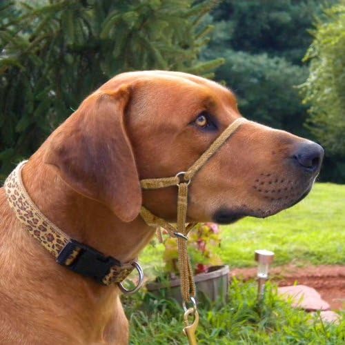 Comfort Trainer Head Halter, Black with Tan Nose Strap, Size 6