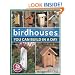 Birdhouses You Can Build in a Day (Popular Woodworking)