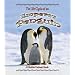 The Life Cycle of an Emperor Penguin (Life Cycle of A...(Paperback))