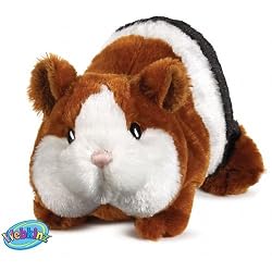 Webkinz Guinea Pig