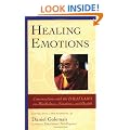 Healing Emotions: Conversations with the Dalai Lama on Mindfulness, Emotions and Health