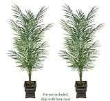 TWO 8' King Areca Artificial Tropical Palm Trees, with No Pot,