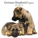 Magnet & Steel German Shepherd Puppies Mini Wall Calendar