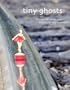 Tiny Ghosts: Things that once seen cannot be easily unseen