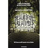 Détails sur le produit