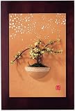 土花 SPRING 壁掛け用Mサイズ(風蘭付きセット)/