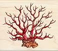 Inkadinkado Tim Coffey Wood Stamp, Coral