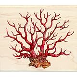 Inkadinkado Tim Coffey Wood Stamp, Coral