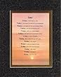 Touching and Heartfelt Poem for Motivations - Today! Poem on 11 x 14 inches Double Beveled Matting