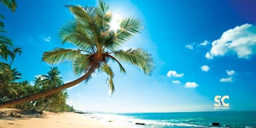 Sport N Care Beach Towel (Beach view) 32" x 60"