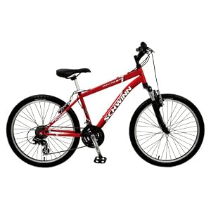 Boys' Schwinn Ranger Mountain Bike - 24"