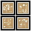 Nature's Balance 4-pc. Coaster Set