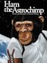 Ham The Astrochimp