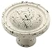 Liberty Hardware PBF660C-254-C 35mm Nautilus Shell Knob Seaside Cottage