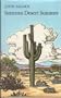 Sonoran Desert Summer