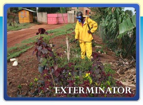 Exterminator Service Bug Man Start Up Business Plan NEW!