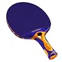 Cornilleau Tacteo 30 Schoolsport Composite Bat
