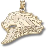 Western Michigan University Broncos Logo 5/8 Pendant (14kt)