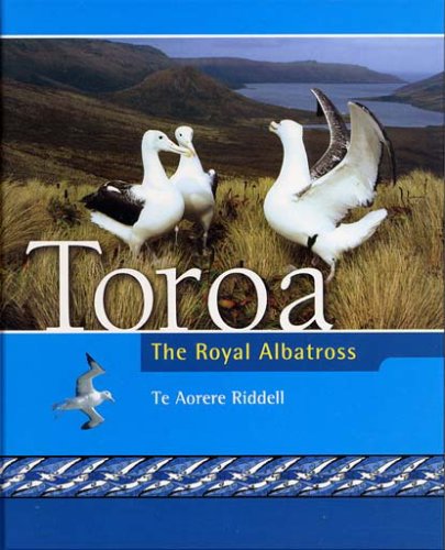 Toroa: The Royal Albatross