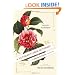 A Victorian Flower Dictionary: The Language of Flowers Companion