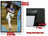 Framed San Diego Padres Jake Peavy Poster Fr4510