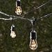 String Light Company Vintage 48-Ft Outdoor Commercial String Lights with 15 Suspended Sockets and 15 Clear S14 Bulbs, 14 Gauge Black Cord