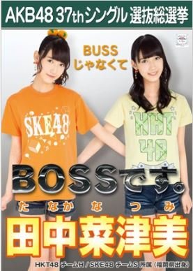 【田中菜津美】ラブラドール・レトリバー AKB48 37thシングル選抜総選挙 劇場盤限定ポスター風生写真 SKE48チームSHKT48チームH