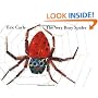 The Very Busy Spider