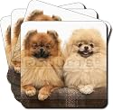 POMERANIAN DOG GIFTS Set of 4 Leather Coasters
