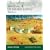 World War II US Armored Infantry Tactics (Elite)