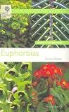 Euphorbias (Wisley Handbooks)