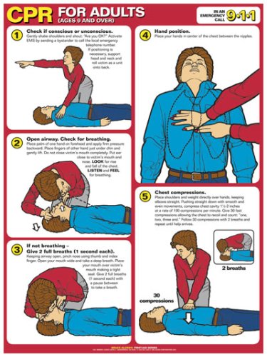 CPR for Adults 18" X 24" Laminated Poster