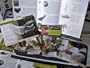 JANUARY CLEARANCE SALE - NEW 16pc Genuine Fossil Collection - Ammonites, Dinosaurs and more INCLUDES Certificates of Authenticity