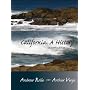 California: A History