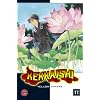 Kekkaishi, Band 17