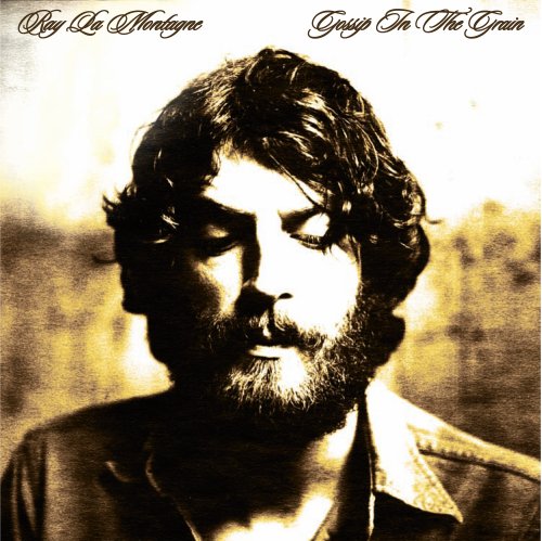 Album Art for Gossip In The Grain by Ray LaMontagne