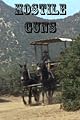 Hostile Guns
