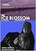 THE ICE BLOSSOM.