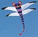 George Peters' Dragonfly Kite