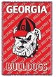 University of Georgia Mini Throw Blanket