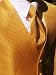 Tuxedo Vest - Venetian Gold Includes Windsor Band Tie
