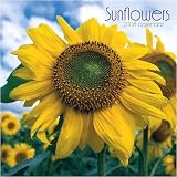 Sunflowers Plato Wall - 2008 Calendar