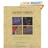 Ancient Forests: A Closer Look at Fossil Wood